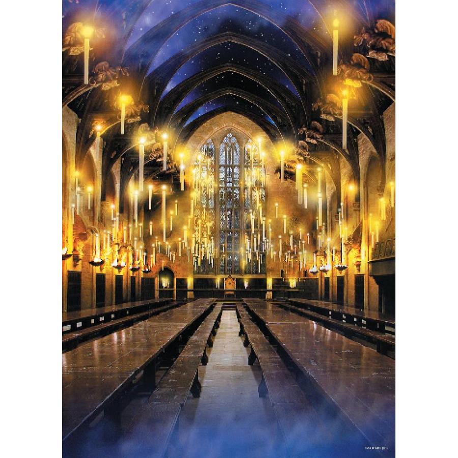  AQUARIUS Harry Potter Puzzle Hogwarts Castle (1000 Piece Jigsaw  Puzzle) - Officially Licensed Harry Potter Merchandise & Collectibles -  Glare Free - Precision Fit - 20x27in : Toys & Games