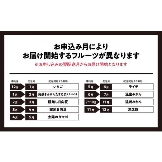 ふるさと納税 宮崎県 宮崎市 青果店厳選！「くだもの定期便Vol.3」（全9回）｜フルーツ定期便｜_M153-007