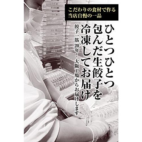 ぎょうざ館 餃子 お取り寄せ 冷凍食品 極餃子 玉葱入り 48個×2袋 合計96個入 ギフト