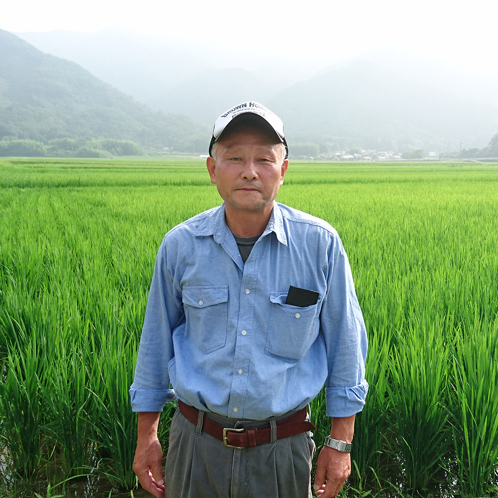 島根県産＜森下保さん＞特別栽培きぬむすめ 白米