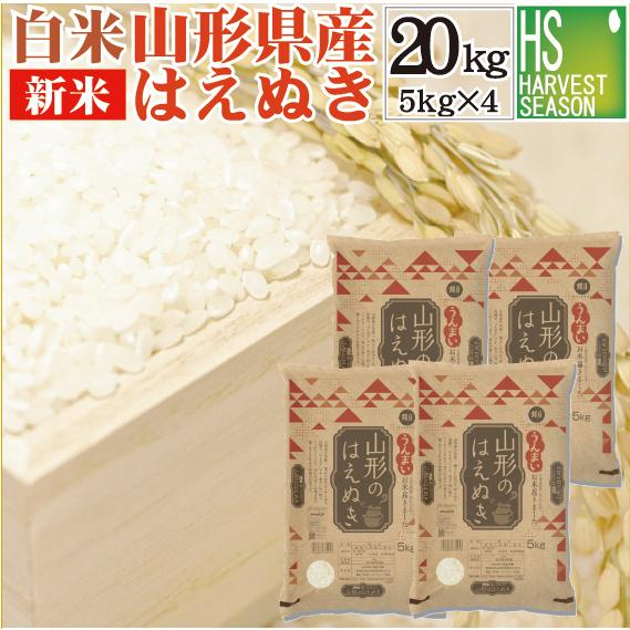特価 新米 20kg 5kg×4袋 はえぬき 山形県産 白米 精白米 令和5年産 送料無料（SL）