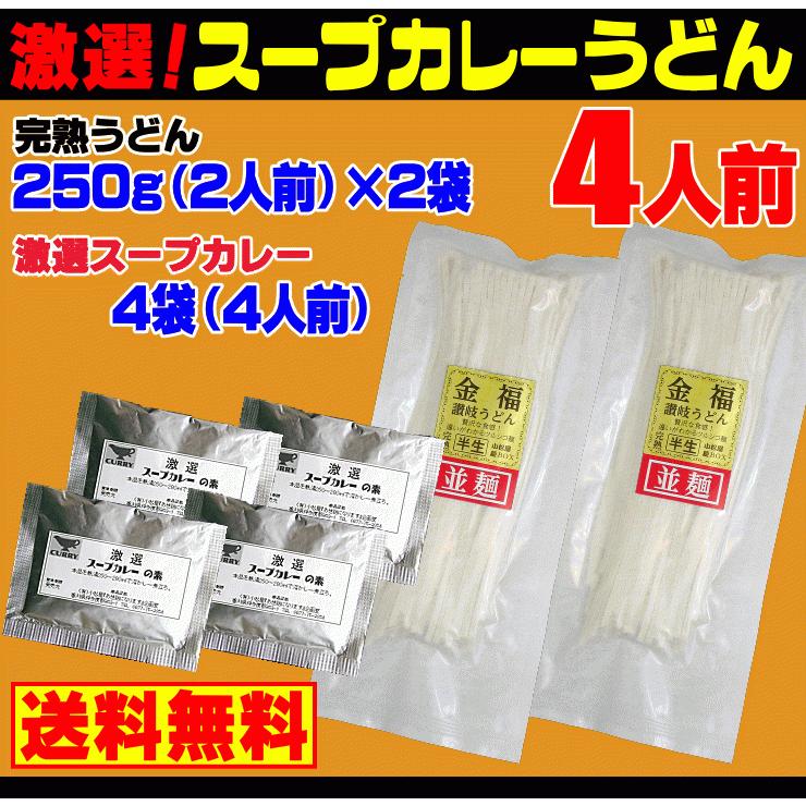 送料無料 うどん 激選スープカレー 讃岐うどん 4人前セット ネコポス お試し 讃岐 送料無 食品 激安