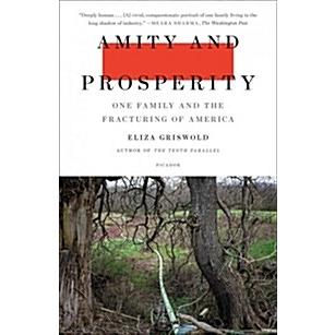 Amity and Prosperity: One Family and the Fracturing of America (Paperback)