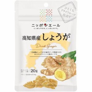 全国農協食品 高知県産しょうがドライフルーツ20g ×12