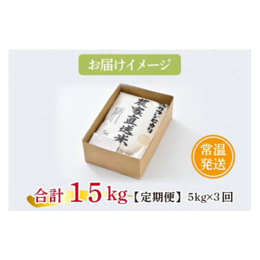 ふるさと納税 福井県 小浜市 福井県産こしひかり 5kg×3回 お米の定期便