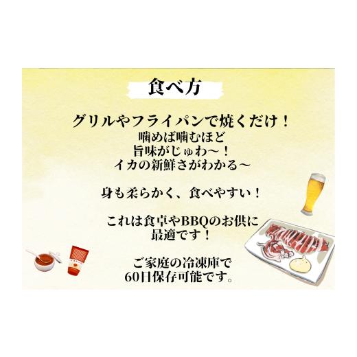 ふるさと納税 高知県 田野町 《 カネアリ水産 》 ★ 訳あり ★ スルメイカの一日干し　４枚入り （ 冷凍 ）