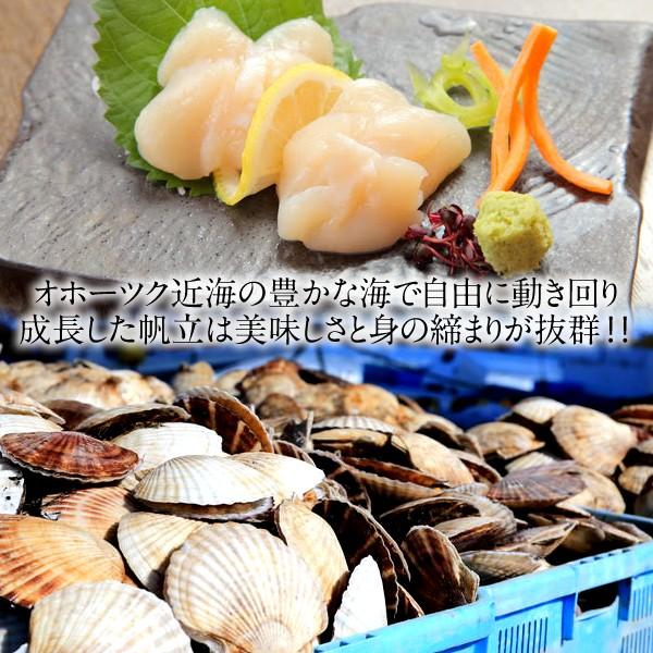 ホタテ 貝柱 お刺身 ほたて貝柱 [500g] 貝柱 冷凍 帆立貝 冷玉 北海道産 新鮮［お歳暮 2023 ギフト 御歳暮］