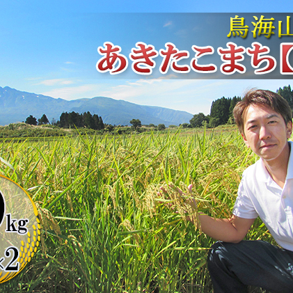 鳥海山の恵み 農家直送！ あきたこまち 20kg(10kg×2袋 玄米)