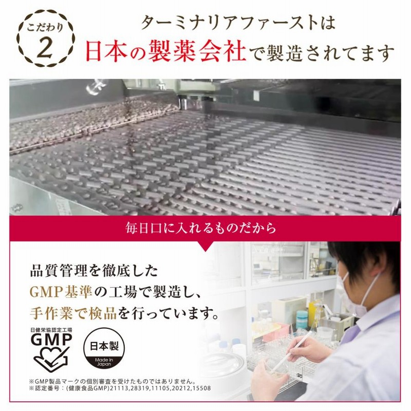 Vitabrid C ターミナリアファースト 5袋（Vitabrid C(ビタ