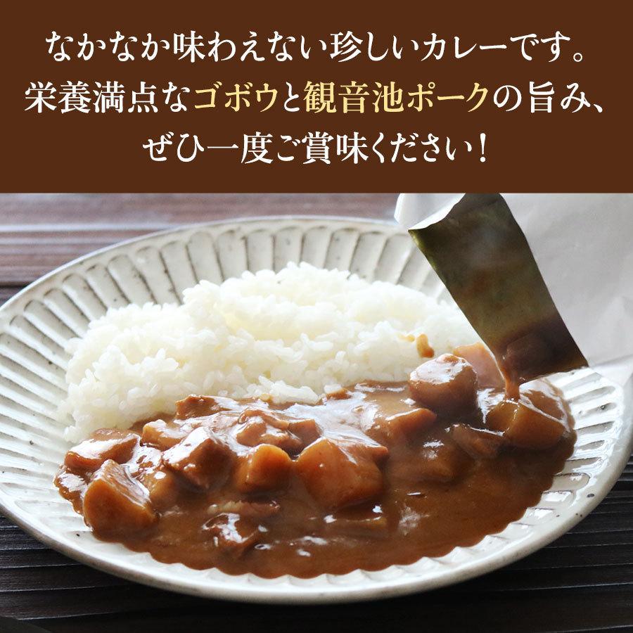 送料無料 豚ごぼうカレー（観音池ポーク使用） 200g×2個 お手軽便