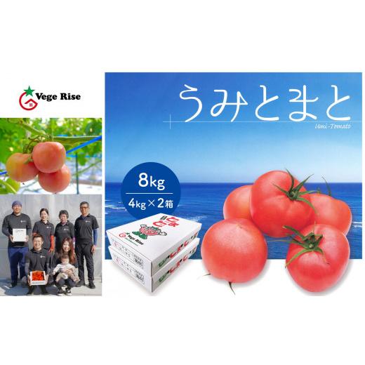 ふるさと納税 熊本県 玉名市 ＜１月以降発送＞玉名市産トマト「うみとまと」 8kg（4kg×2箱）
