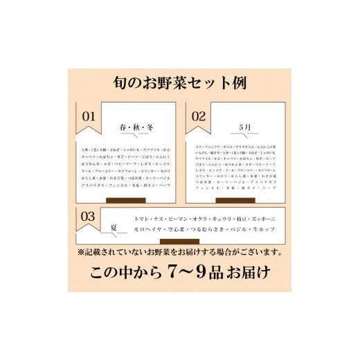 ふるさと納税 山口県 下関市 旬 の 野菜 詰め合わせ セット 品 お楽しみ 産地直送 農家直送 季節 春 夏 秋 冬 露地野菜 やさい サラダ 農薬 化学肥料 不…