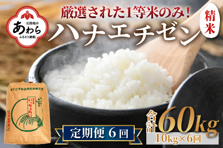 令和5年産 ＜定期便6回＞ ハナエチゼン 精米 10kg×6回（60kg）《発送直前精米！》  ／ ブランド米 華越前 ご飯 お米 白米 新鮮 あわら市産 農家直送 大賞 受賞 新米