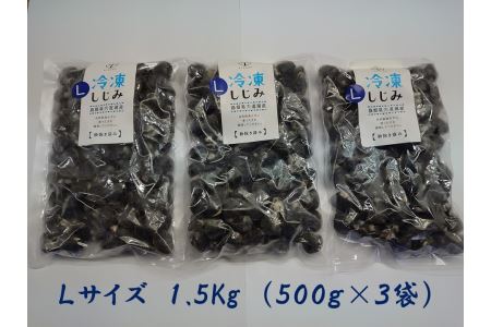 宍道湖産冷凍大和しじみ 砂抜き済 (L)1.5㎏　23010-40