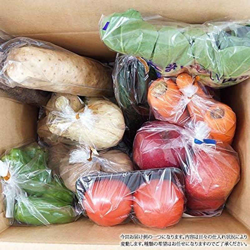 国産 おまかせ 野菜セット A 果物1品＋野菜9種類以上 野菜 旬野菜 季節野菜 人気 野菜詰め合わせ 定期 お取り寄せ