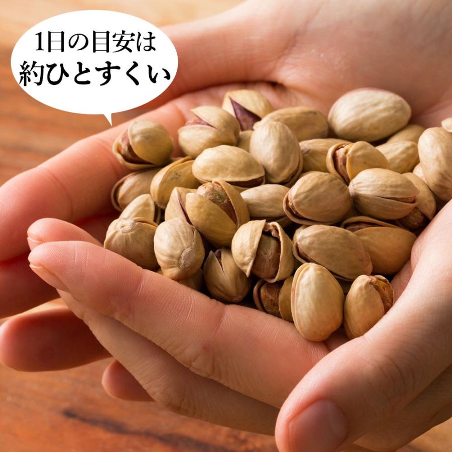 ナッツ ピスタチオ 無塩 500g 送料無料 殻付き 素焼き ピスタチオ アメリカ産 愛すべきナッツ 大粒 殻付きピスタチオ 殻つき おつまみ 食品 お試し