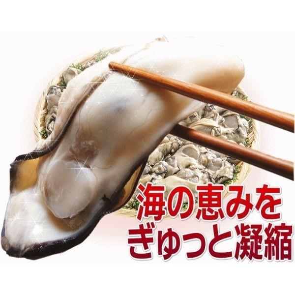 ギフト 牡蠣 かき 広島県産 広島カキ1kg(正味850g)×1袋 Lサイズ 広島産 鍋 ※送料1300円です
