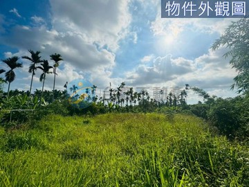 海豐田野漂亮開心小農地｜屏東縣屏東市信和段