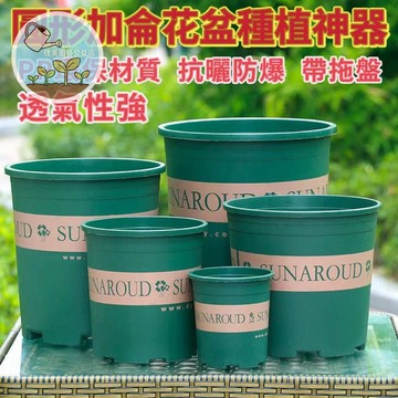 【台灣現貨】綠色加侖盆 花卉花盆 加厚花盆 種植神器 耐用好搬移  透氣不積水 陽台多肉蔬菜通用 園藝必備 月季盆栽家用