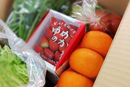 長崎県産　季節の野菜BOX