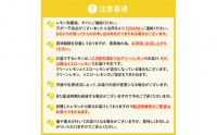 大崎下島産 栽培期間中農薬不使用 瀬戸内レモン 5kg