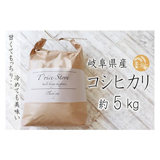 ふるさと納税 岐阜県 垂井町 T rice Store 岐阜県産コシヒカリ（玄米） 約5kg