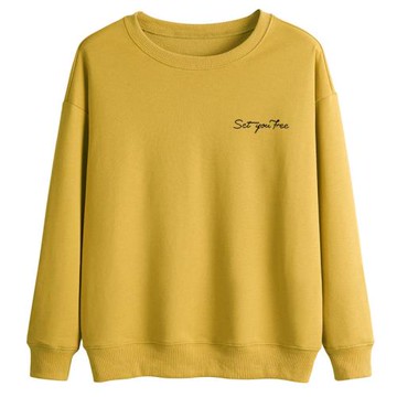 2025新款衛衣女春秋季大碼寬松薄款簡約閨蜜裝休閑上衣百搭小眾潮