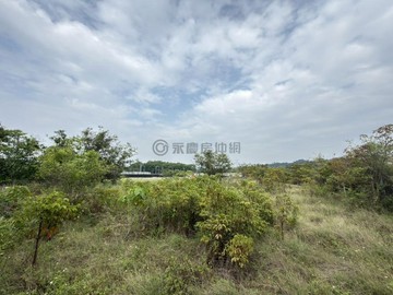 大社燕巢交流道美國學校12米路旁容許變更農地嘉誠段｜高雄市大社區嘉誠段