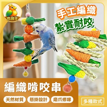 【鳥國王】小寵啃咬玩具 寵物編織玩具 磨牙玩具 藤球串 草繩串 玉米蘿蔔掛串 鈴鐺發聲串 鳥玩具 鸚鵡用品 鳥用品