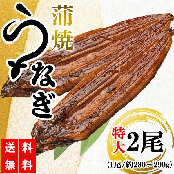 うなぎ蒲焼 鰻蒲焼 2尾 送料無料 特大サイズ 蒲焼 土用の丑の日 うなぎ ウナギ 鰻 中国産 メーカー直送 shr-021