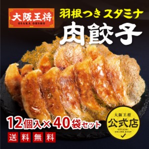 羽根つきスタミナ肉餃子12個入×40袋　20袋×2ケース