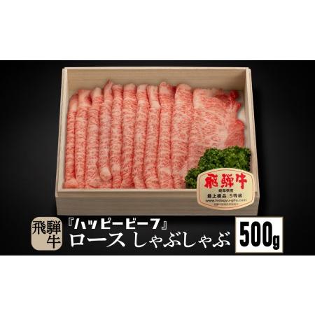 ふるさと納税 飛騨牛 A5等級 ロース ５００g しゃぶしゃぶ 飛騨牛 ブランド牛 Ａ5ランク ハッピープラス 飛騨高山 TR4091 岐阜県高山市