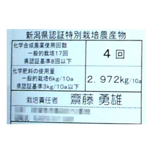 ふるさと納税 新潟県 阿賀野市 特別栽培米 コシヒカリ 10kg  新潟県認証  1G02020