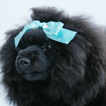 NO.104 蝴蝶結髮夾