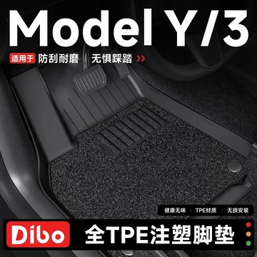 特斯拉Tesla 煥新3 Model3/Y 煥新Y 防水腳踏墊 腳墊 TPE腳踏墊 靠背墊 行李箱墊 車箱墊 尾箱墊