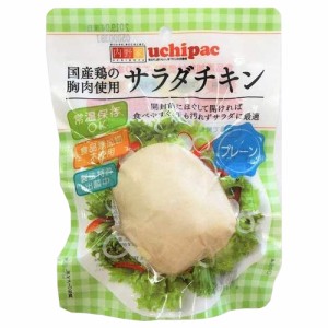 国産鶏 サラダチキン プレーン 100g ウチノ