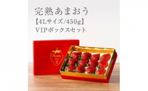 ★希少4Lサイズ 450g ★赤のVIPボックスに入った宝石のような「完熟あまおう」！