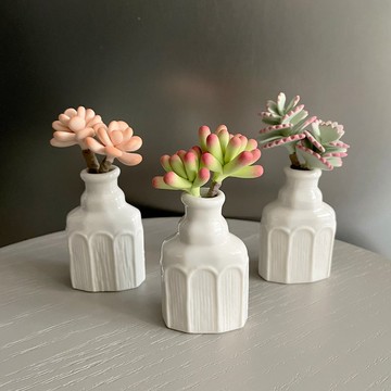 法式羅紋小白瓷瓶 共3款。軟陶黏土多肉植物