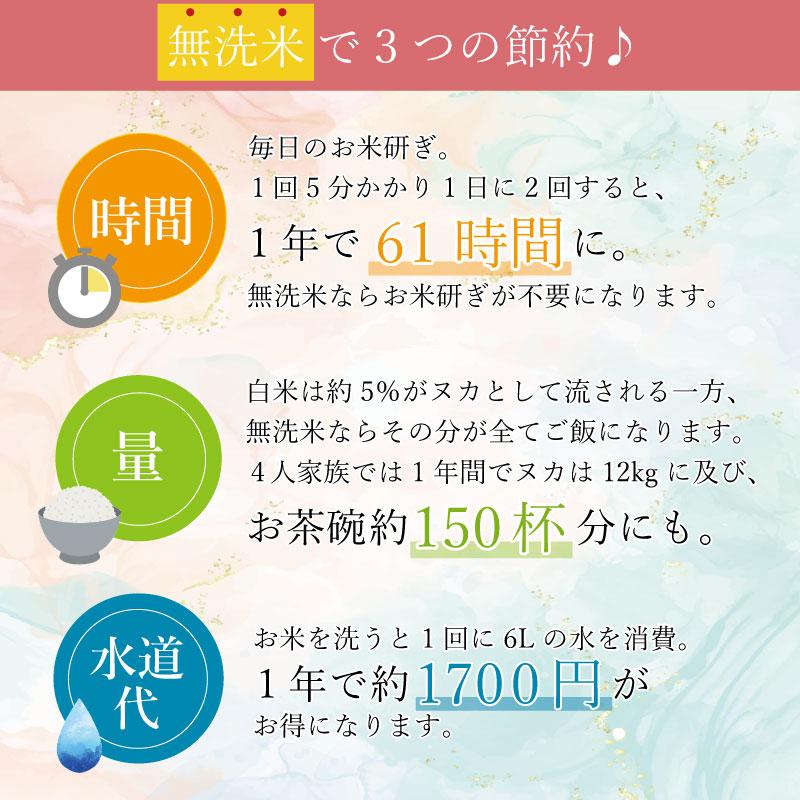 特価 ポイント3倍 新米 令和5年産 無洗米 5kg×2 あきたこまち 10kg 山形県産 お米 送料無料（SL）