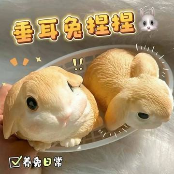 仿真垂耳兔捏捏🐰捏捏樂 擺飾 舒壓小物 兔子捏捏 仿真兔子