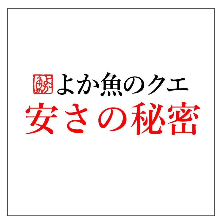 お歳暮 レンジで専門店の味！長崎産天然クエ鍋 お取り寄せ鍋セット 1人前 クエ鍋 お取り寄せグルメ 鍋 海鮮鍋