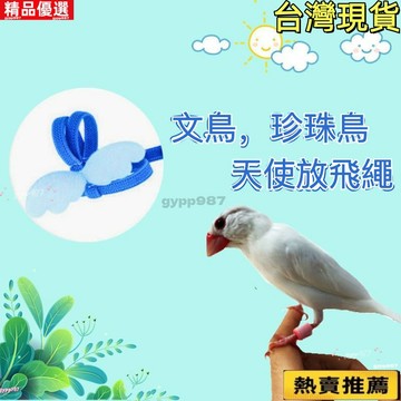 💥台灣熱賣💥文鳥專用 七彩文鳥珍珠鳥放飛繩 玉鳥芙蓉鳥外出背帶 牽引放飛繩 遛鳥超輕💗💗