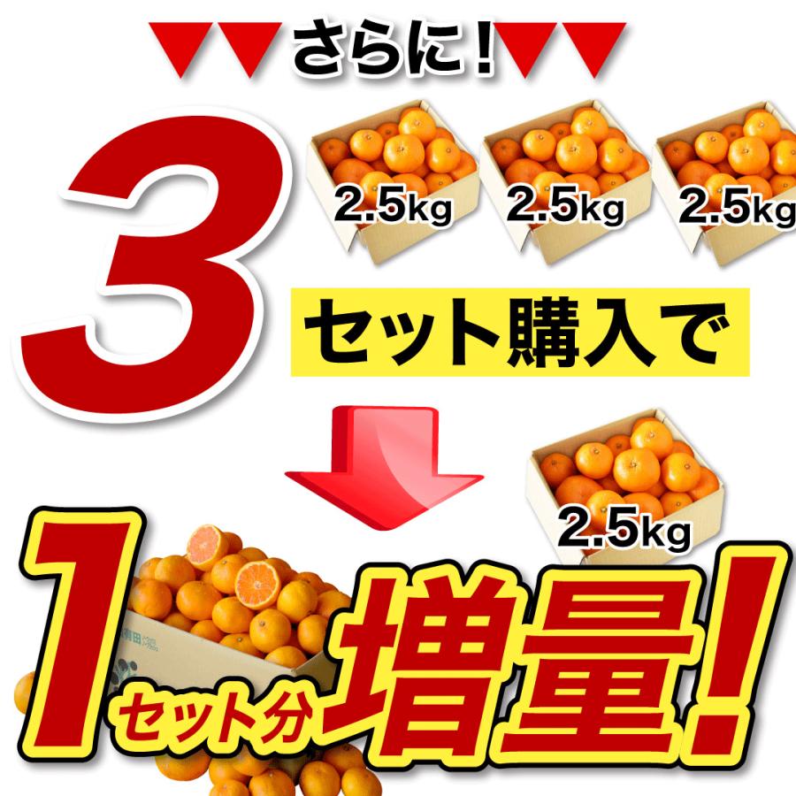 みかん 訳あり 2.5kg 2箱買うと送料無料 3箱買うと1箱分増量 極早生 有田みかん 家庭用 果物 フルーツ 和歌山産 お歳暮