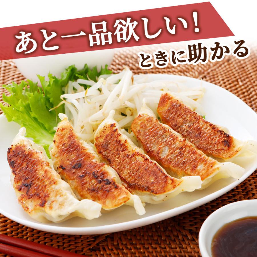 やまと豚 大きな肉餃子 120個 [冷凍] 送料無料 お歳暮 御歳暮 2023 肉 食品 取り寄せ 冷凍餃子 餃子 お取り寄せグルメ ギフト 食べ物 中華 つまみ 惣菜