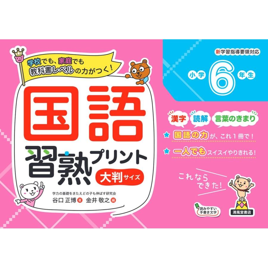 国語習熟プリント 学校でも,家庭でも教科書レベルの力がつく 小学6年生 大判サイズ