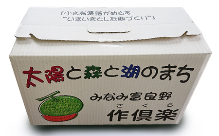 南ふらの産 赤肉メロン 1.6kg×2玉《作倶楽》 北海道 南富良野町 メロン 赤肉 2024年発送 先行予約