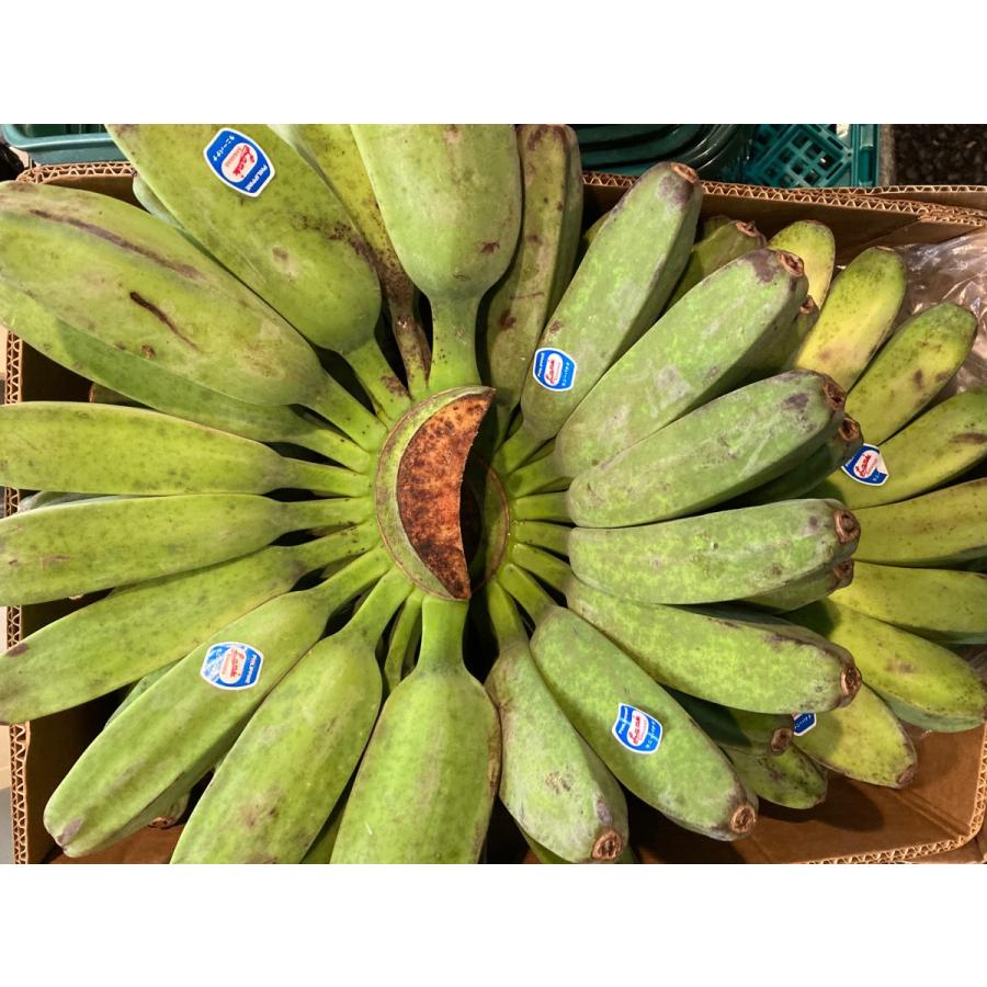 サババナナ SABA BANANA 5房前後 約10kg フィリピン産 調理用バナナ 料理用バナナ 野菜バナナ