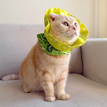 【恰氏手作】哈密瓜瓜寵物防舔伊麗莎白圈