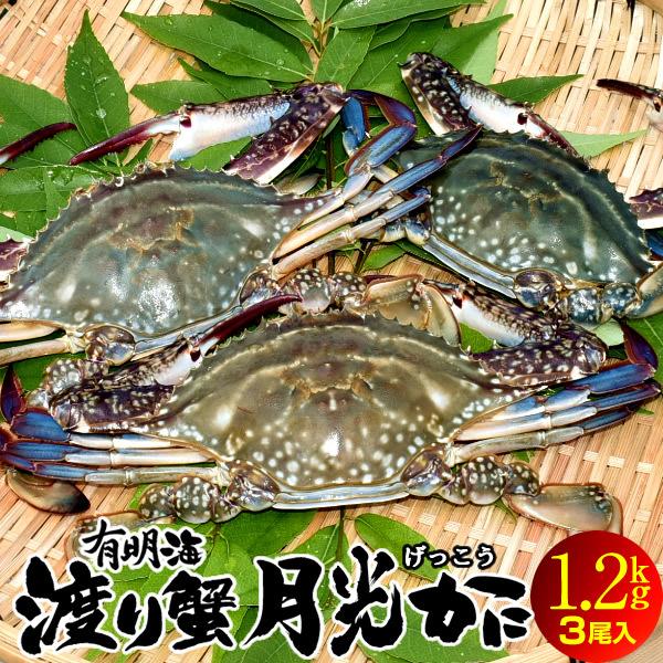 ワタリガニ直売 活〆 有明海 生 渡り蟹 1.2kg(3尾入)わたりがに 熊本県上天草市 旬 活締め冷凍 ボイルして本格パスタに［お歳暮 ギフト プレゼント］