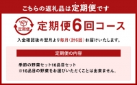  季節の野菜セット 16品目